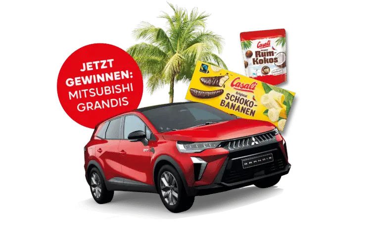 Dein Sommer, dein Drive, Mitsubishi Grandis Gewinnspiel