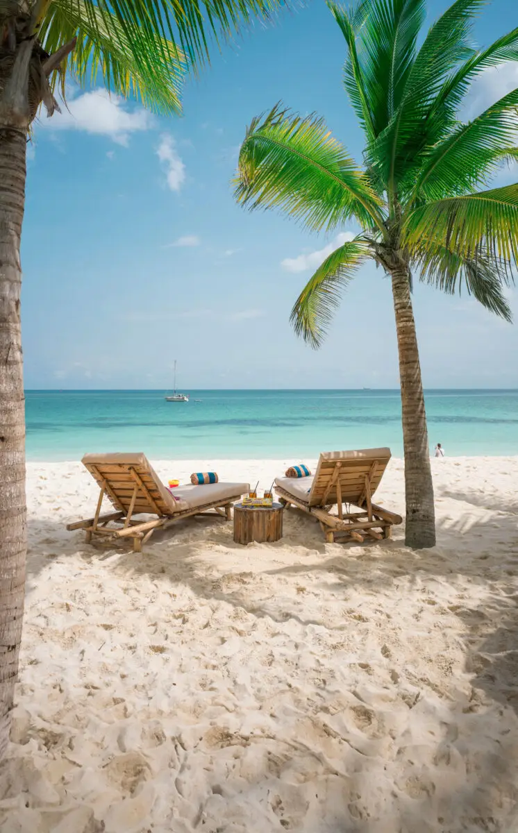 Sandstrang, Palmen und blaues Meer