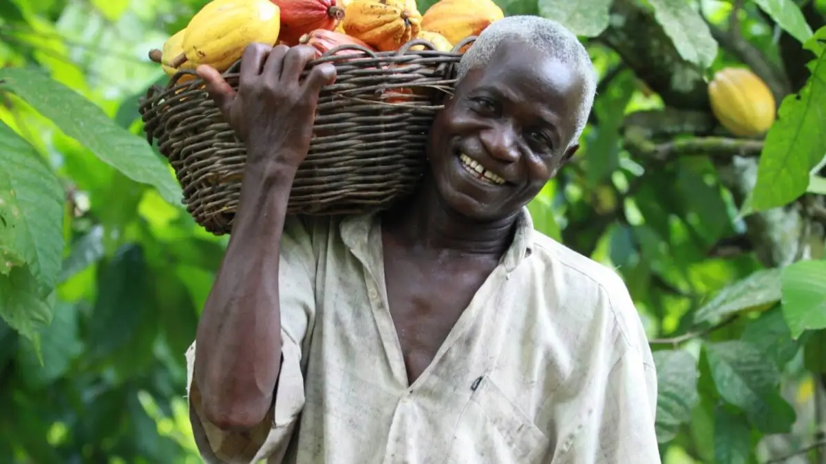 fairtrade worker